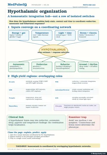 Handwritten one-page note: hypothalamus integrating energy, temperature, light and stress inputs to autonomic, endocrine, behavioural and arousal outputs