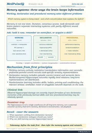 Handwritten one-page note: working, declarative and procedural memory with their networks