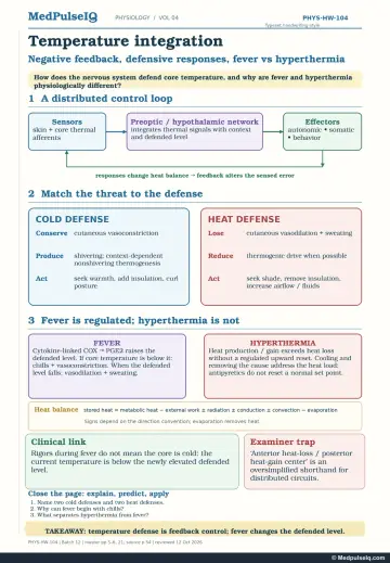 Handwritten one-page note: thermoregulatory feedback loop, cold and heat defences, fever versus hyperthermia, heat balance