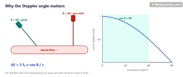 Two probes over a vessel at 60 and 90 degrees beside a graph of cos theta falling from 1 at 0 degrees to 0 at 90 degrees