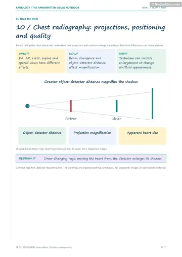 Visual notebook page — Chest radiography: projections, positioning and quality: what, how and why panels with a teaching schematic