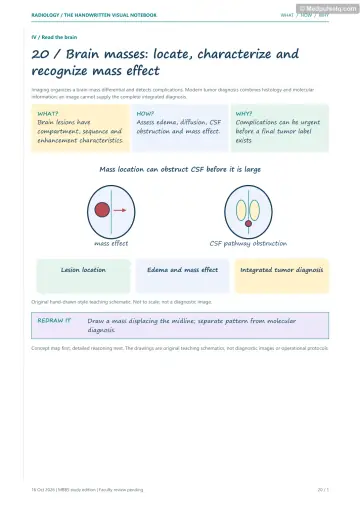Visual notebook page — Brain masses: locate, characterize and recognize mass effect: what, how and why panels with a teaching schematic