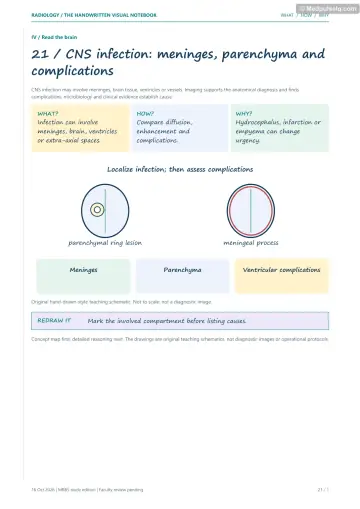 Visual notebook page — CNS infection: meninges, parenchyma and complications: what, how and why panels with a teaching schematic