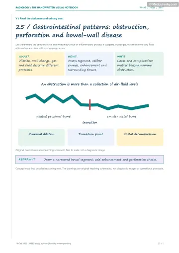 Visual notebook page — Gastrointestinal patterns: obstruction, perforation and bowel-wall disease: what, how and why panels with a teaching schematic