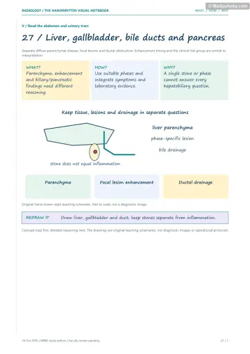 Visual notebook page — Liver, gallbladder, bile ducts and pancreas: what, how and why panels with a teaching schematic