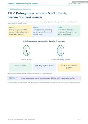 Visual notebook page — Kidneys and urinary tract: stones, obstruction and masses: what, how and why panels with a teaching schematic