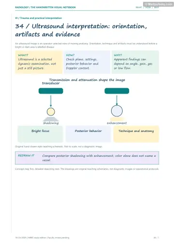 Visual notebook page — Ultrasound interpretation: orientation, artifacts and evidence: what, how and why panels with a teaching schematic